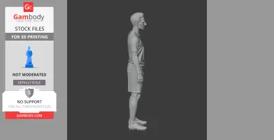 Robin van Persie - Football Figure STL