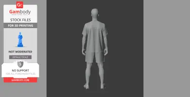 Rodri - Football Figure STL
