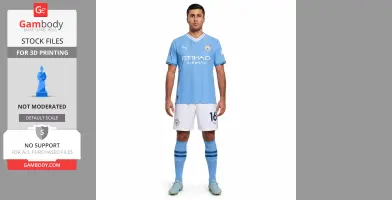 Rodri - Football Figure STL