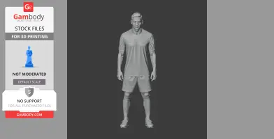 Rodrigo - Football Figure STL