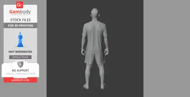 Rodrigo - Football Figure STL