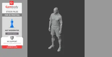 Ronaldo Luis Nazario - Football Figure STL