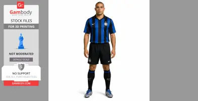 Ronaldo Luis Nazario - Football Figure STL