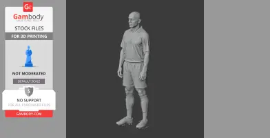 Ronaldo Luis Nazario - Football Figure STL