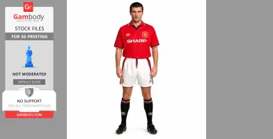Roy Keane - Football Figure STL
