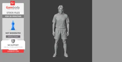 Rui Costa - Football Figure STL