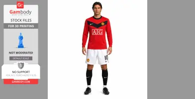 Ruud van - Football Figure STL