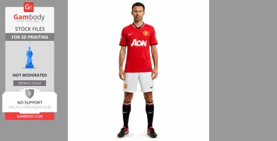 Ryan Giggs - Football Figure STL