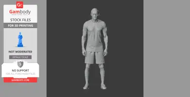 Sadio Mane - Football Figure STL