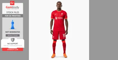 Sadio Mane - Football Figure STL