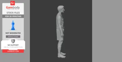 Steven Gerrard - Football Figure STL