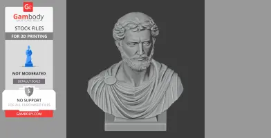 Antoninus Pius Bust - Historical Warrior STL
