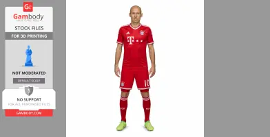 Robben Figurine - Religious Statue STL