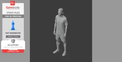 Roberto Firmino Figurine - Religious Statue STL