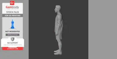 Roberto Firmino Figurine - Religious Statue STL