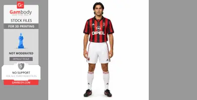 Rui Costa Figurine - Religious Statue STL