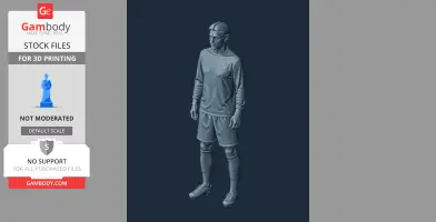 Ruud van Nistelrooy - Religious Statue STL