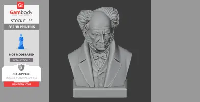 Arthur Schopenhauer Bust - Historical Warrior STL