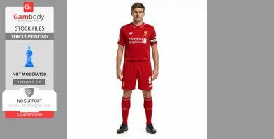 Steven Gerrard Figurine - Religious Statue STL