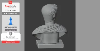Augustus Bust - Historical Warrior STL