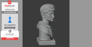 Augustus Bust - Historical Warrior STL