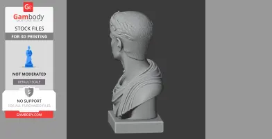 Augustus Bust - Historical Warrior STL