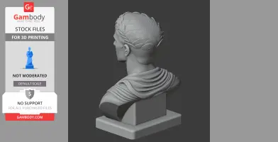 Caligula Bust - Historical Warrior STL