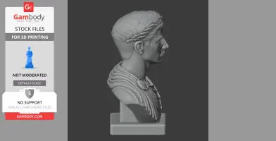 Caligula Bust - Historical Warrior STL