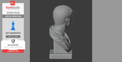 Caracalla Bust - Historical Warrior STL