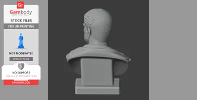 Caracalla Bust - Historical Warrior STL
