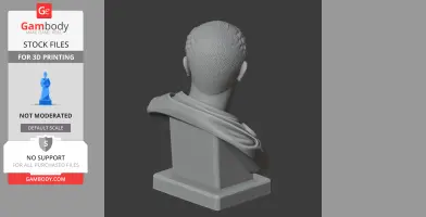 Caracalla Bust - Historical Warrior STL
