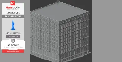 Home Insurance Building - Architecture STL