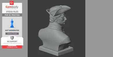 Charles XII of Sweden Bust - Historical Warrior STL
