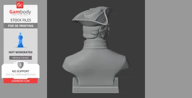 Charles XII of Sweden Bust - Historical Warrior STL