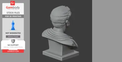 Antoninus Pius Bust - Historical Warrior STL