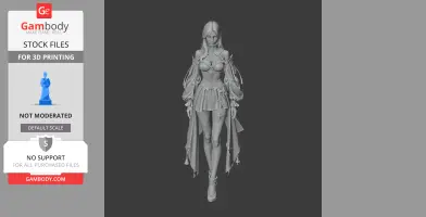 Arcana - Lost Ark - Character Figure STL
