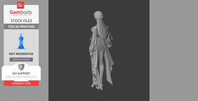 Arcana - Lost Ark - Character Figure STL