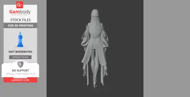 Arcana - Lost Ark - Character Figure STL