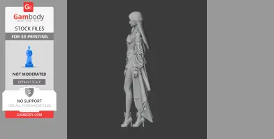 Arcana - Lost Ark - Character Figure STL