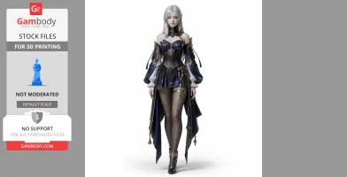 Arcana - Lost Ark - Character Figure STL