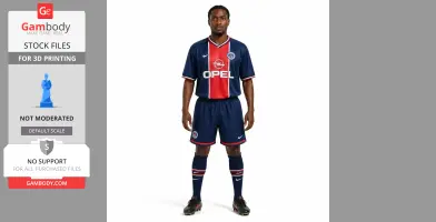 Jay-Jay Okocha Figurine - Religious Statue STL