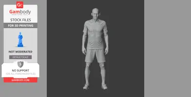 Robben Figurine - Religious Statue STL