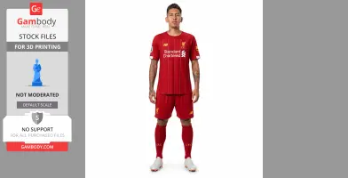 Roberto Firmino Figurine - Religious Statue STL