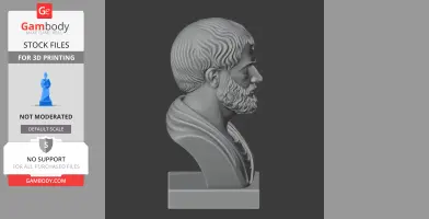 Aristotle Bust - Historical Warrior STL