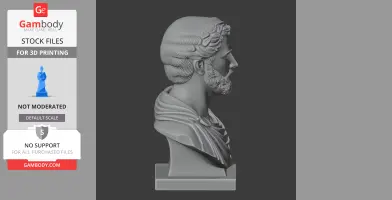 Antoninus Pius Bust - Historical Warrior STL