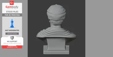Antoninus Pius Bust - Historical Warrior STL