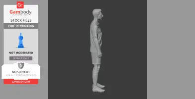 Ryan Giggs Figurine - Religious Statue STL