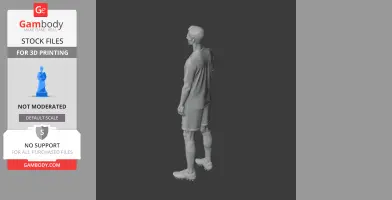 Ryan Giggs Figurine - Religious Statue STL