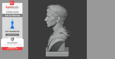 Caligula Bust - Historical Warrior STL
