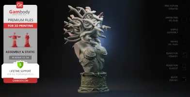 A detailed bust of Medusa with snake hair and ornate armor, designed for 3D printing.